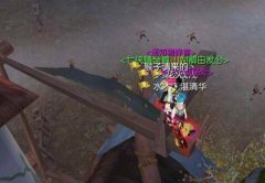 武林外传中的卖号秒改是啥意思？怎么样